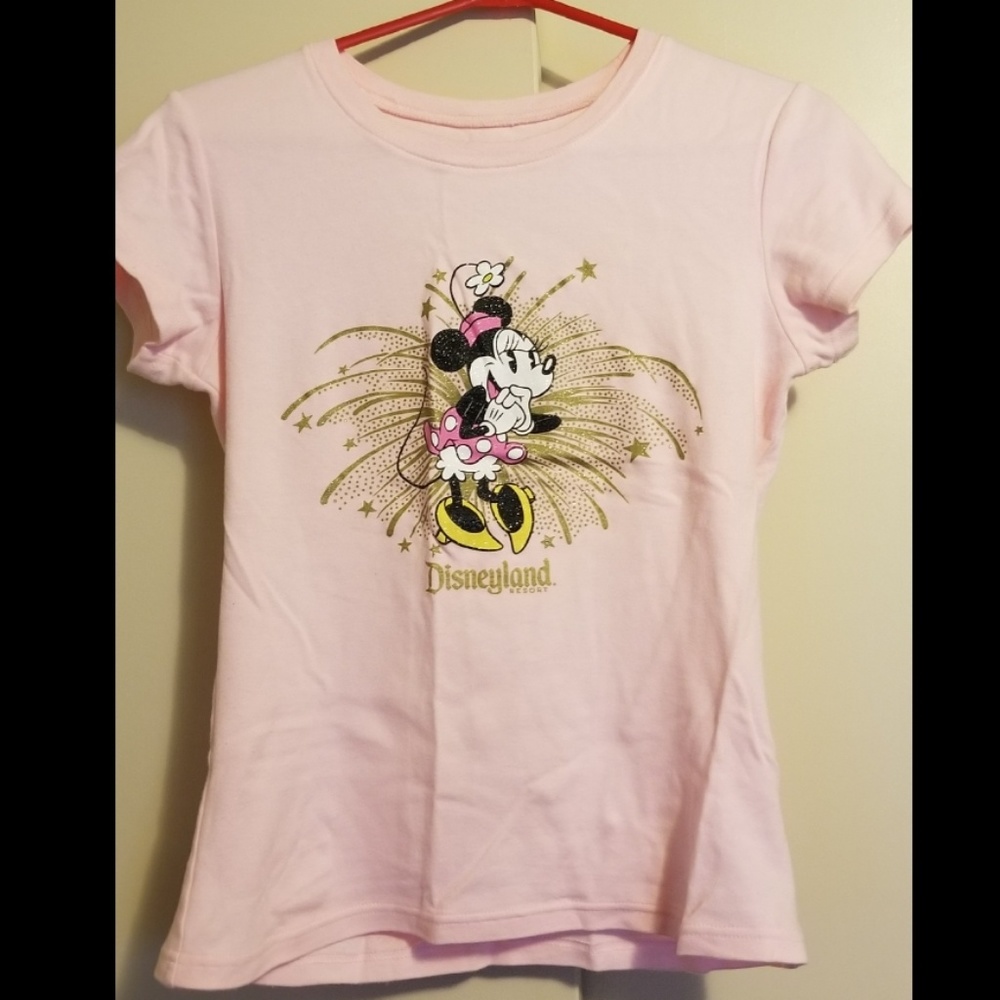 Womens Disney Parks shirt
